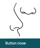 button nose shape