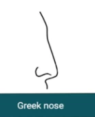 greek nose shape